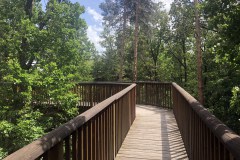 Lombkorona tanösvény, Althodis