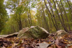 Budakeszi vadaspark