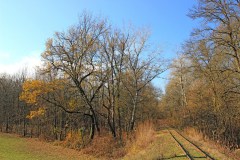 Gemenci Erdei Vasút