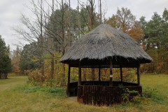Gödöllői arborétum