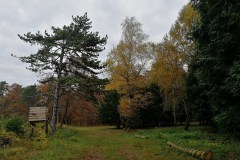 Gödöllői arborétum