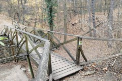 Gödöllői arborétum