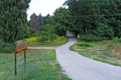 Erdei iskola