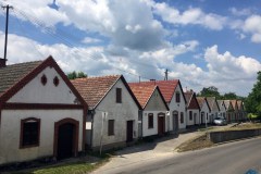 Hajósi pincesor