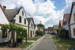Hajósi pincesor
