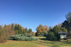 Kecskeméti Arborétum