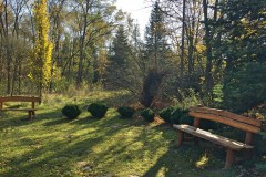 Kecskeméti Arborétum ősszel