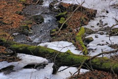 Somor-patak völgye, Mátra