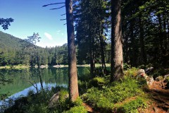 Laghi di Fusine