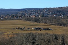 Solymár