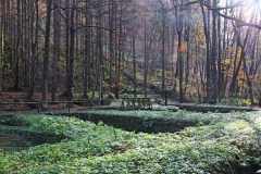 Szalajka-völgy, Szilvásvárad