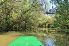 Motorcsónakos túra a Tisza-tónál