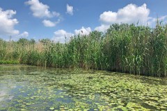 Motorcsónakos túra a Tisza-tónál