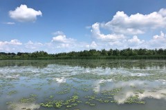 Motorcsónakos túra a Tisza-tónál
