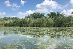 Motorcsónakos túra a Tisza-tónál