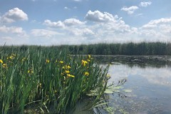 Motorcsónakos túra a Tisza-tónál