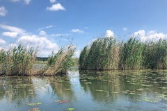 Motorcsónakos túra a Tisza-tónál