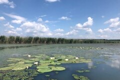 Motorcsónakos túra a Tisza-tónál