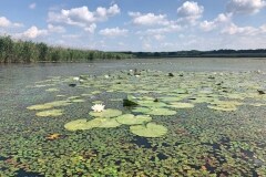 Motorcsónakos túra a Tisza-tónál
