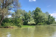 Motorcsónakos túra a Tisza-tónál