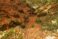Vácrátót Arborétum