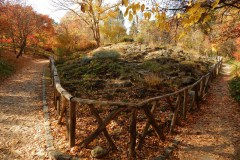 Vácrátót Arborétum