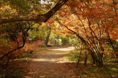 Vácrátót Arborétum