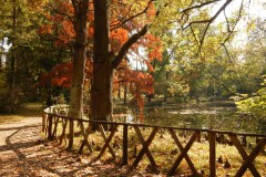 Vácrátót Arborétum