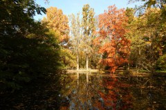 Vácrátót Arborétum