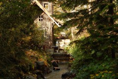 Vácrátót Arborétum