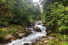 Vintgar-szurdok