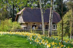 Volčji Potok Arborétum
