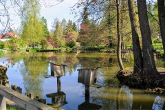 Volčji Potok Arborétum