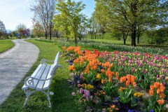 Volčji Potok Arborétum