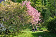 Volčji Potok Arborétum
