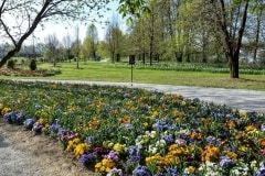 Volčji Potok Arborétum