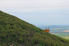 Dongók