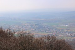 Panoráma