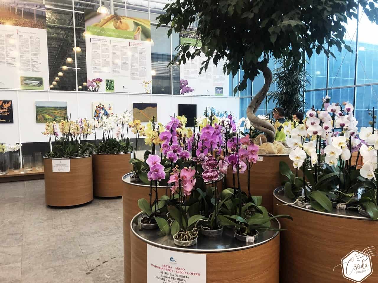 Orchideafarm és trópusi kert a szlovén határnál