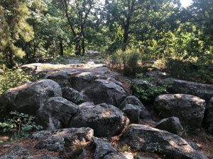 Papsapka-kövek - kőtenger a Csobánc lábánál