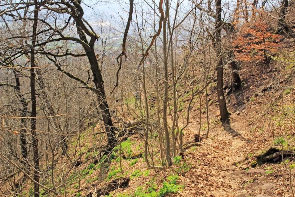 Tavaszköszöntő túra a Jakab-hegyen: Kővágószőlős, Babás-szerkövek, Zsongor-kő