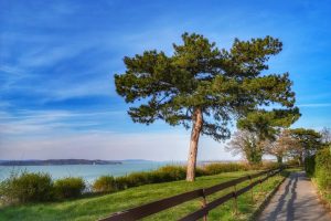 Balatonföldvári kilátó