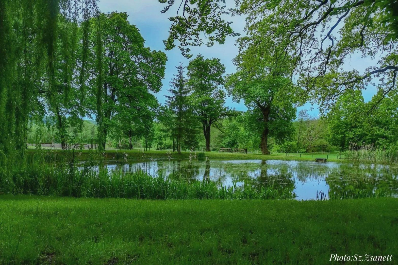 Bakony Archives Csodahelyek.hu