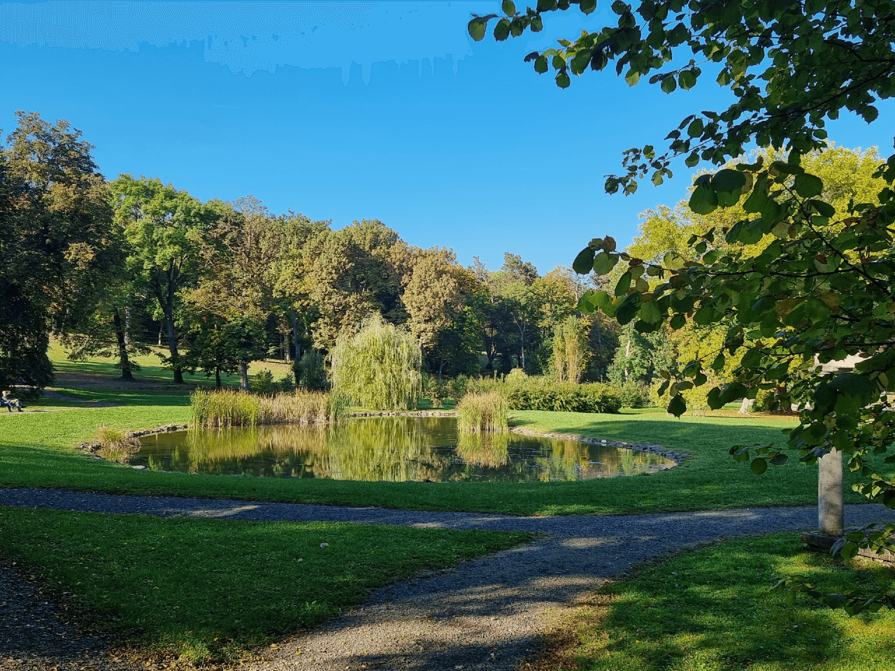 Károlyi-kastély, díszpark