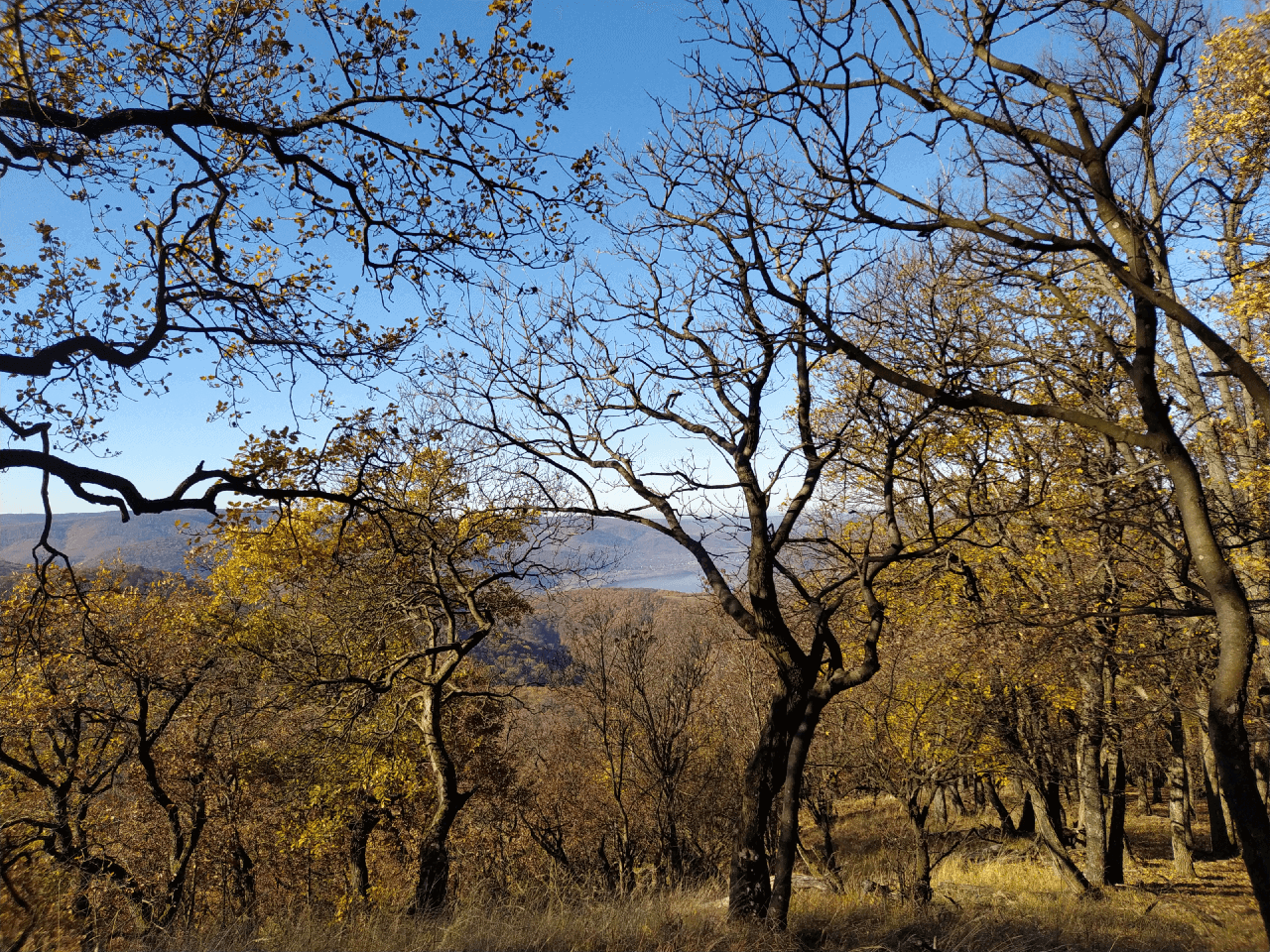 Visegrádi-hegység