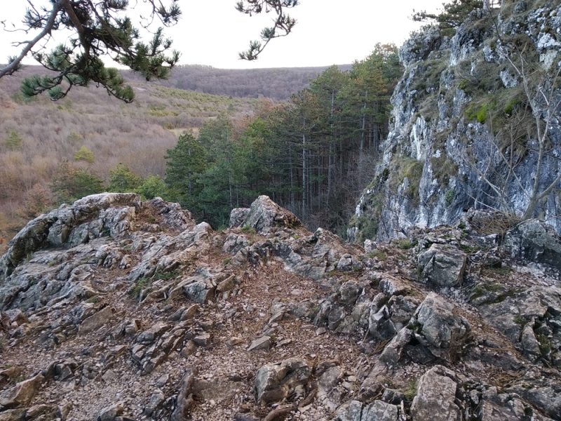 Koloska-sziklák