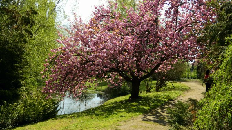 Erdőtelki Arborétum