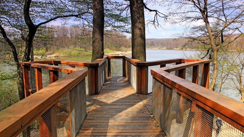 Deseda lombkoronasétány