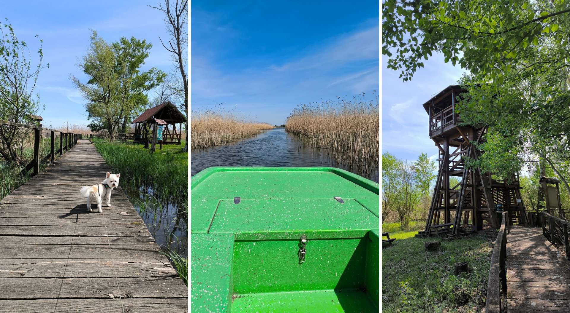 Tisza-tavi Vízi Sétány gyerekbarát programok a tisza-tónál