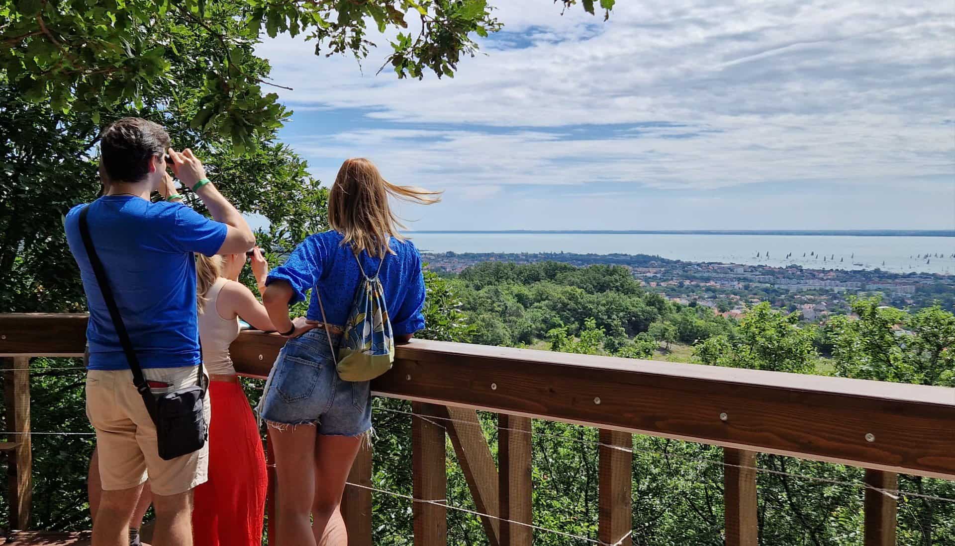 Gapa Terasz: Kilátó, lombsétány és családi programok Balatonfüred Száka-hegyén